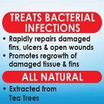 API MELAFIX Fish Bacterial Infection Remedy