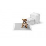 Basics Carbon Pet Training and Puppy Pads