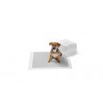 Basics Carbon Pet Training and Puppy Pads