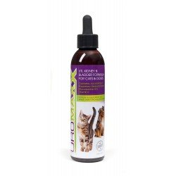 UroMAXX Urinary Tract, Kidney & Bladder Formula for Cats and Dogs, 6 oz Bottle